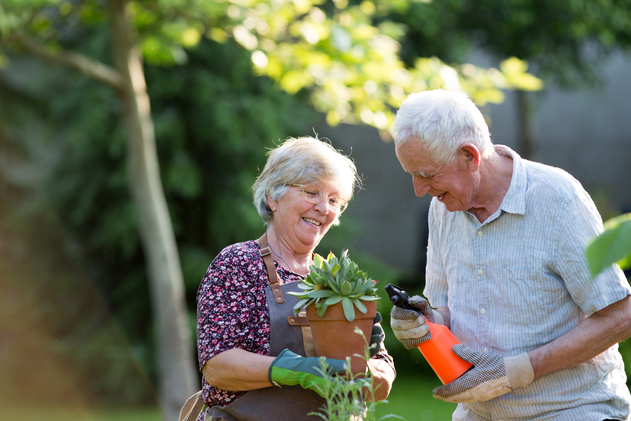 Senior-couple-potting-plants